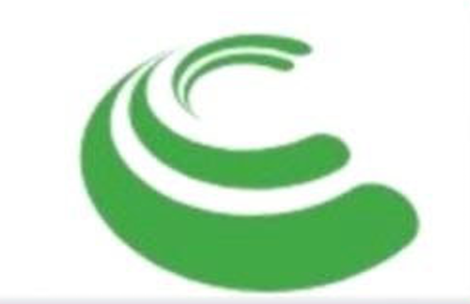 PSS Logo
